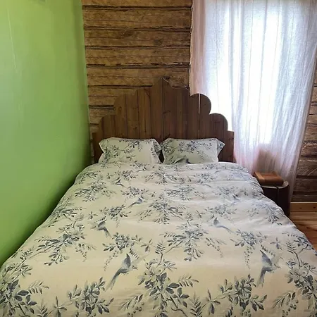 Stebuklas Coliving VNO Buitenkant foto
