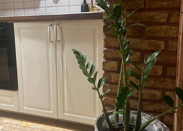 Stebuklas Coliving
