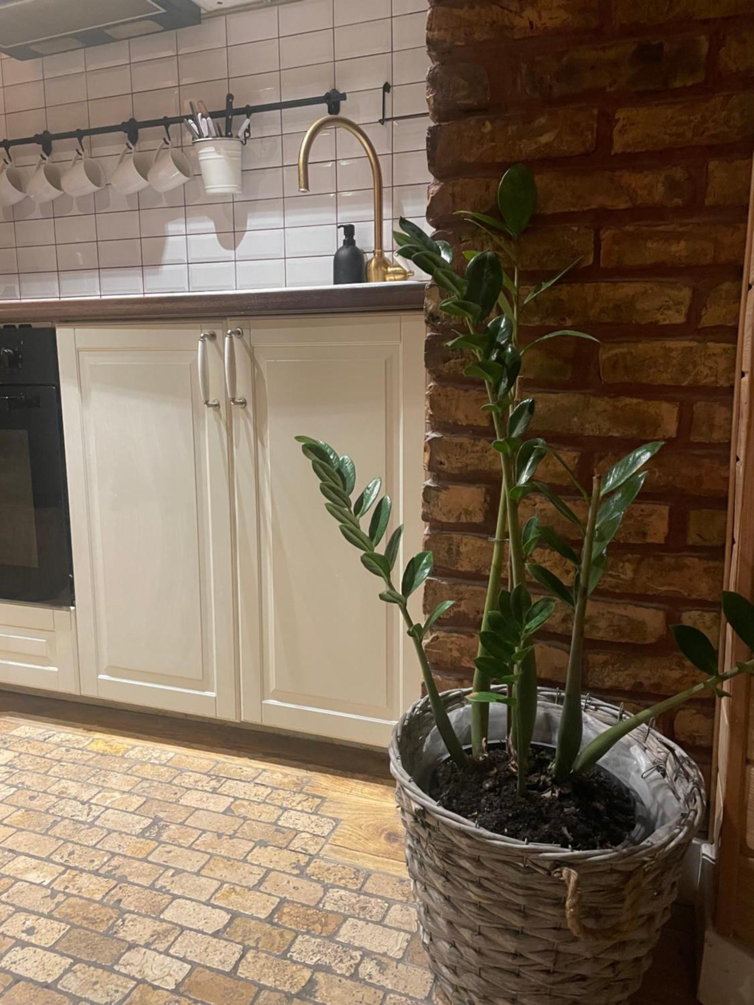 Stebuklas Coliving Appartamento Vilnius